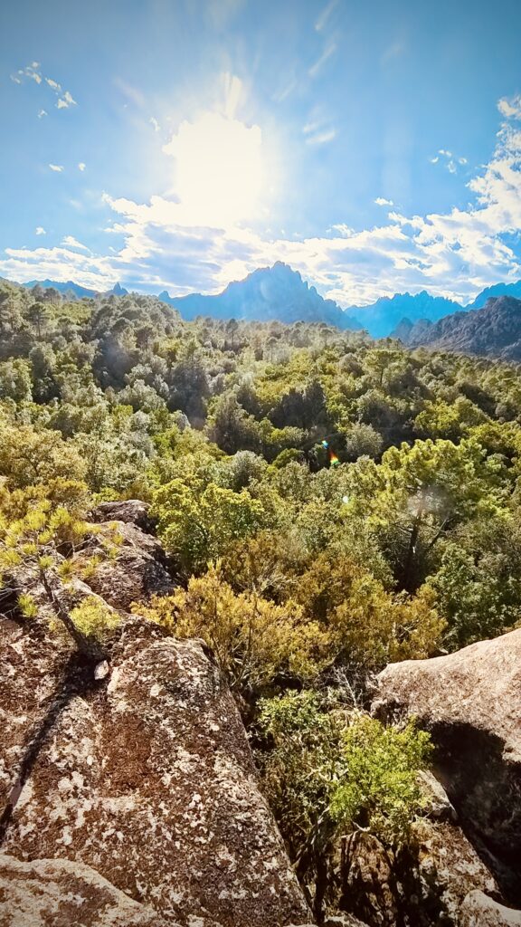 IMG_20251006_182220_390