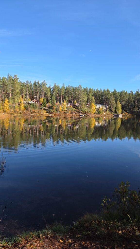 47533694-33ab-48f0-b835-f62bda238881