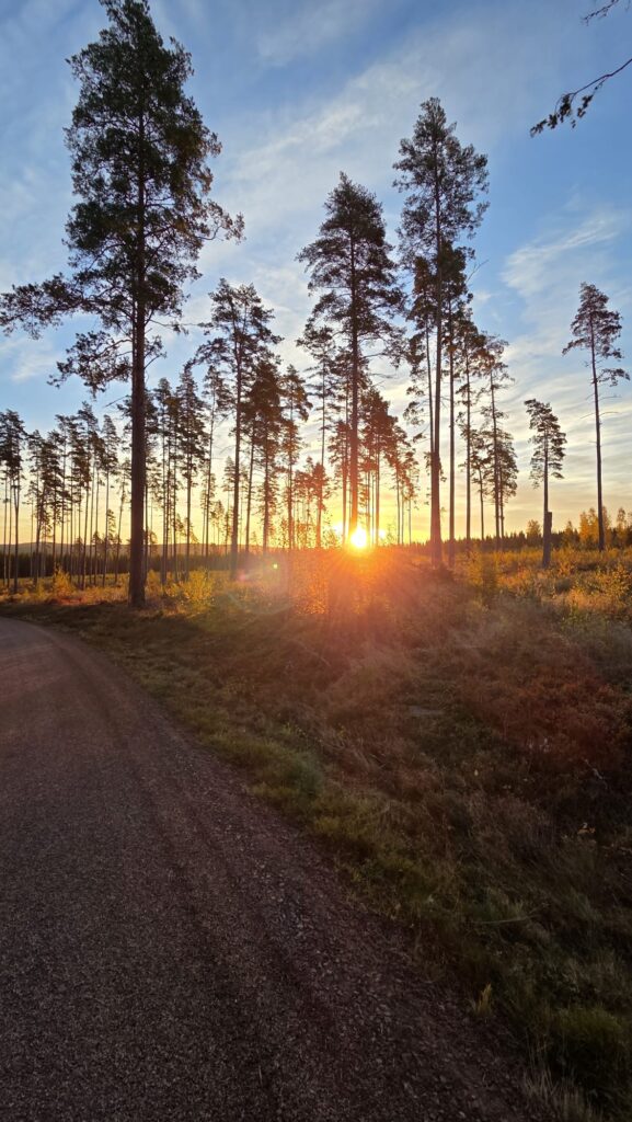 76a1b673-3328-41d1-b1d1-89910e33c25d