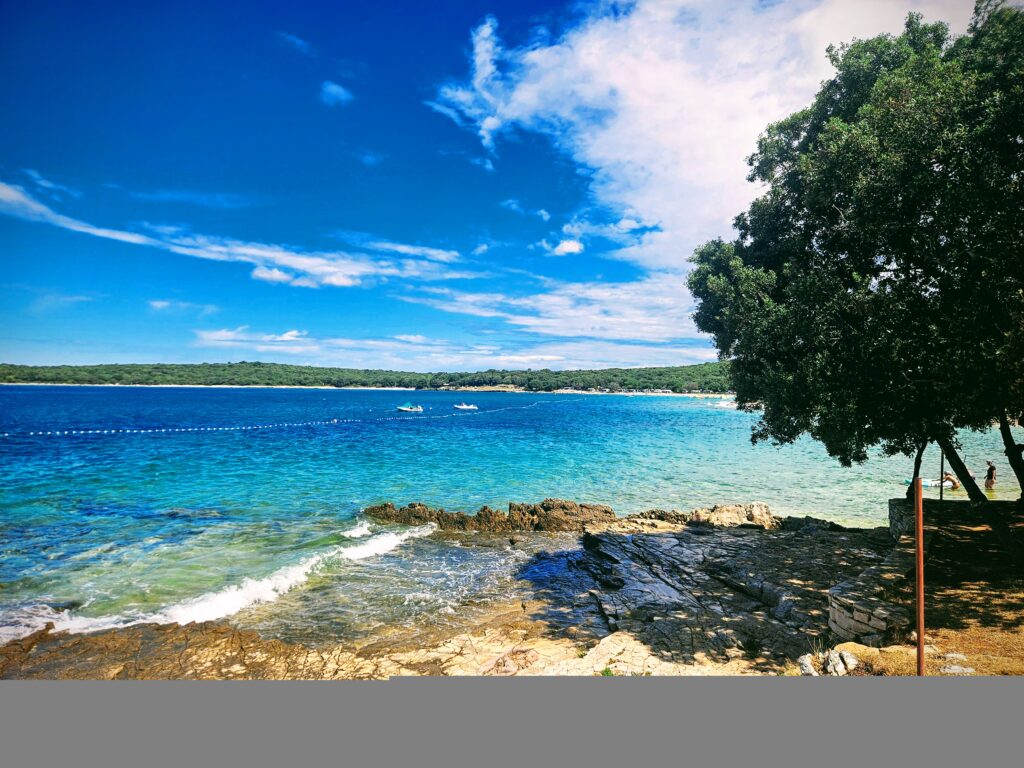 1e96eb7a-1d64-4d88-ba91-5256e1c16341-1_all_35159