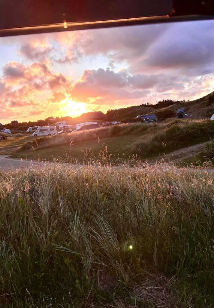 2c29039d-eb55-4e6f-927c-a6c2ce3faea6