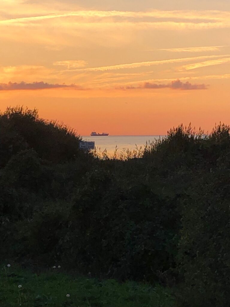 a4515488-57d9-40dc-bebb-310cb2c5e7e5